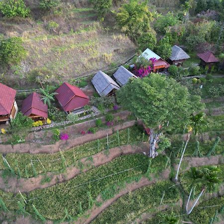 Rinjani Mountain Garden Ξενοδοχείο Bayan Εξωτερικό φωτογραφία