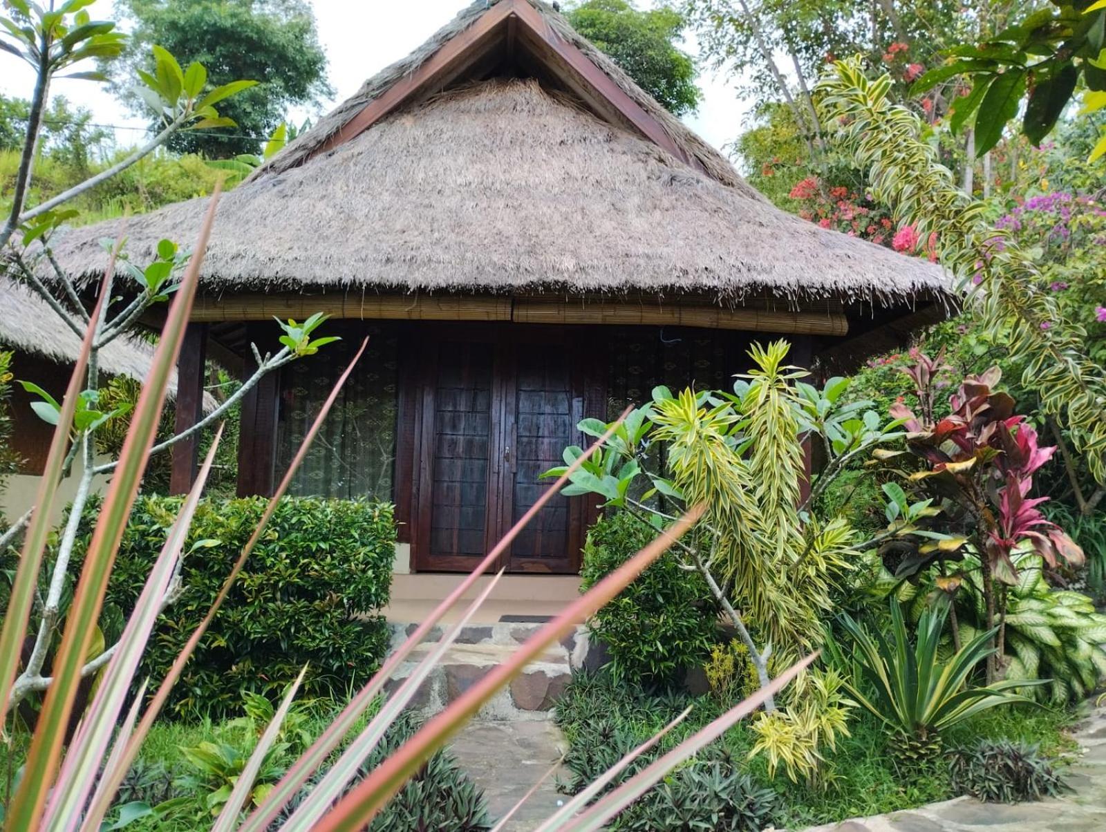 Rinjani Mountain Garden Ξενοδοχείο Bayan Εξωτερικό φωτογραφία