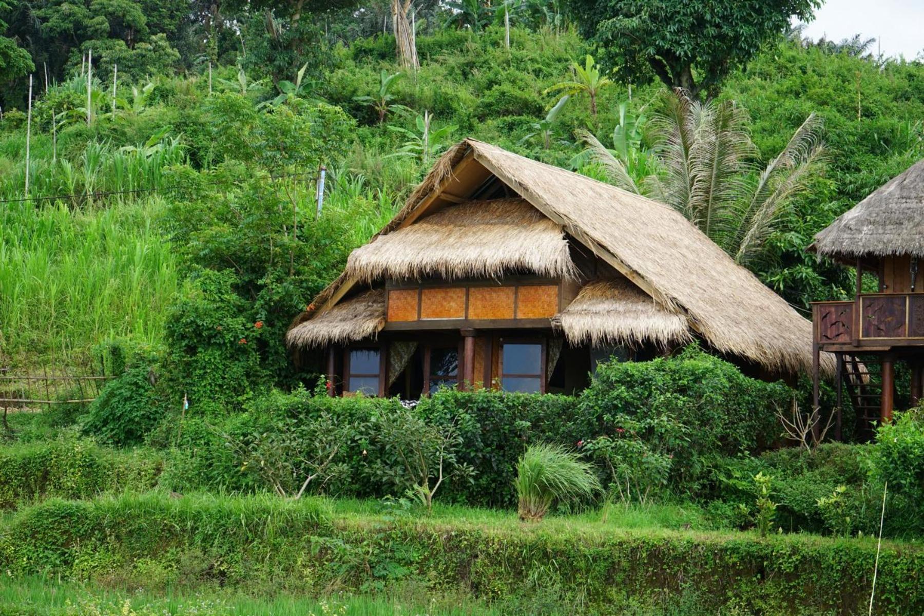 Rinjani Mountain Garden Ξενοδοχείο Bayan Εξωτερικό φωτογραφία