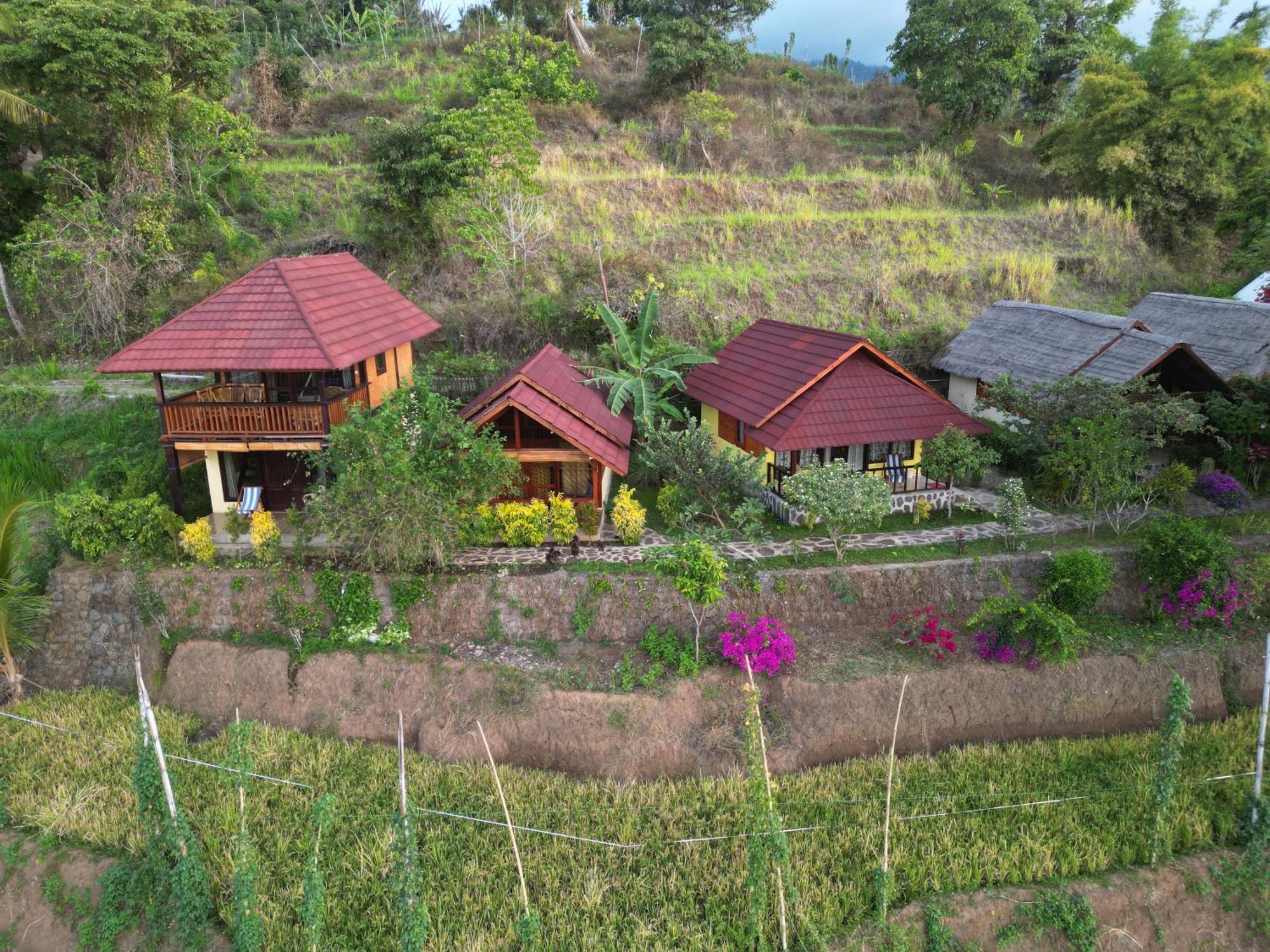 Rinjani Mountain Garden Ξενοδοχείο Bayan Εξωτερικό φωτογραφία