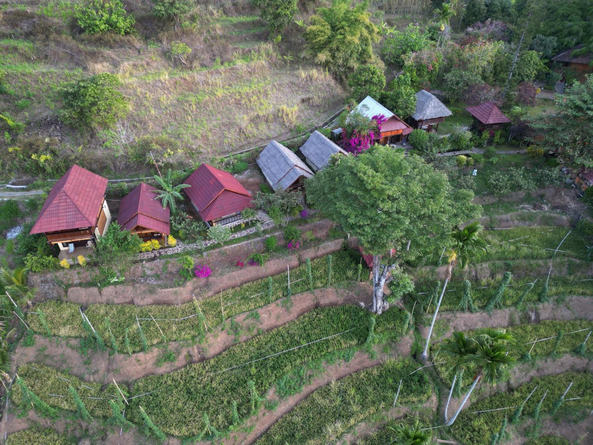 Rinjani Mountain Garden Ξενοδοχείο Bayan Εξωτερικό φωτογραφία