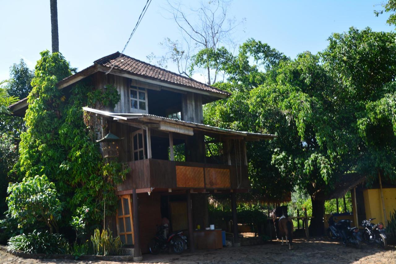 Rinjani Mountain Garden Ξενοδοχείο Bayan Εξωτερικό φωτογραφία