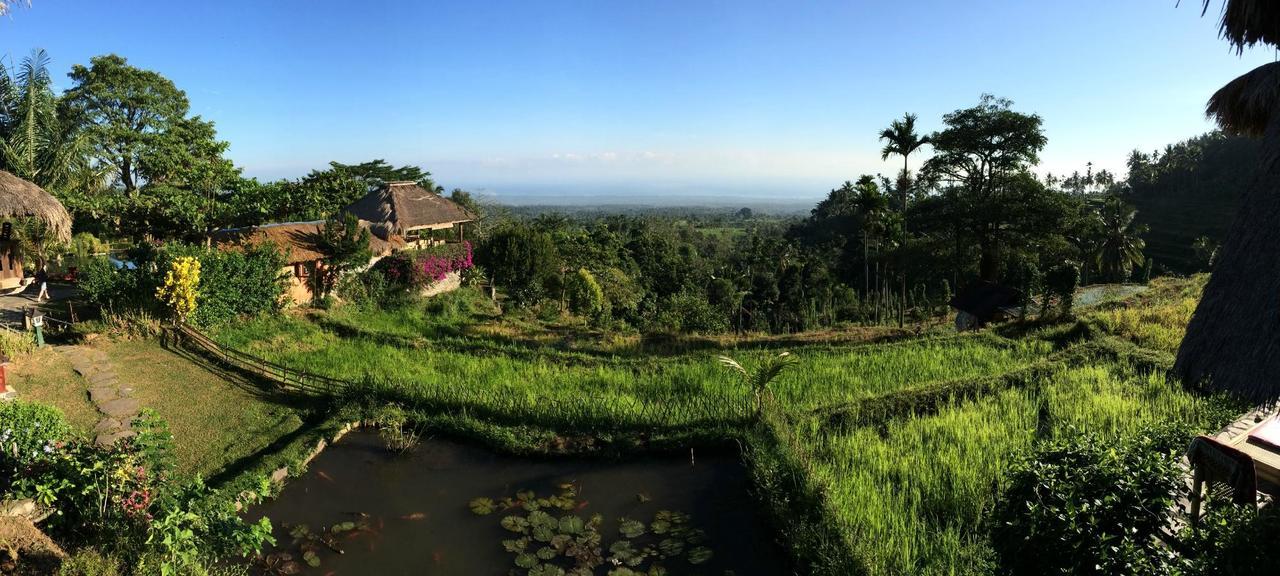 Rinjani Mountain Garden Ξενοδοχείο Bayan Εξωτερικό φωτογραφία