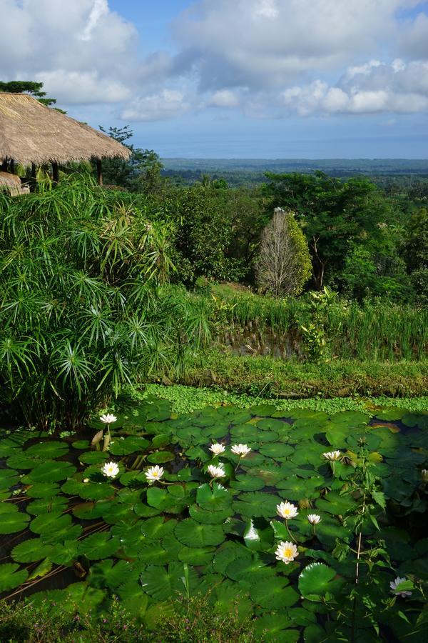Rinjani Mountain Garden Ξενοδοχείο Bayan Εξωτερικό φωτογραφία