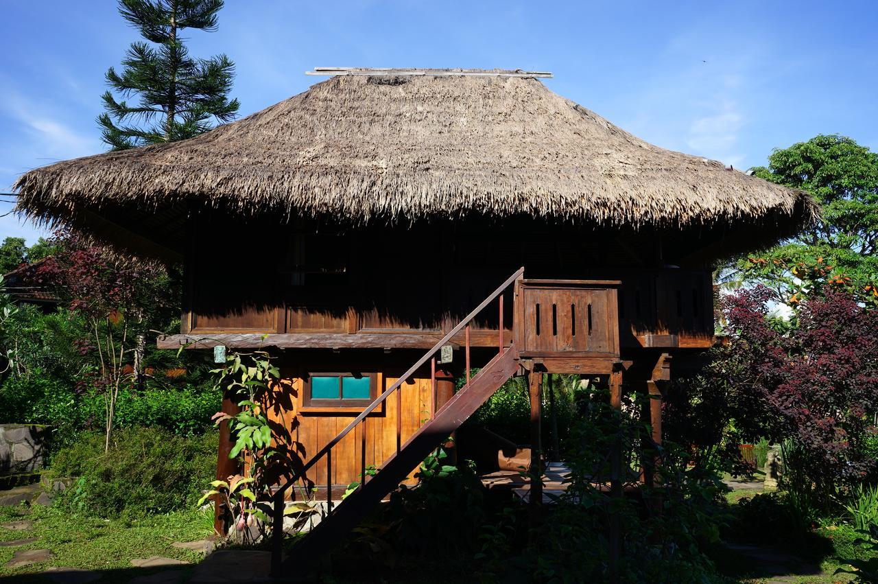 Rinjani Mountain Garden Ξενοδοχείο Bayan Εξωτερικό φωτογραφία