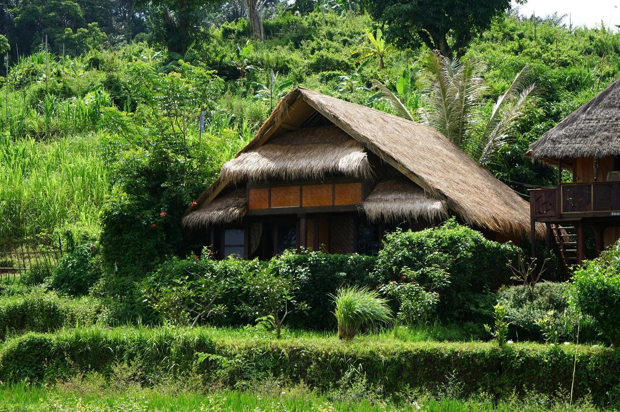Rinjani Mountain Garden Ξενοδοχείο Bayan Εξωτερικό φωτογραφία