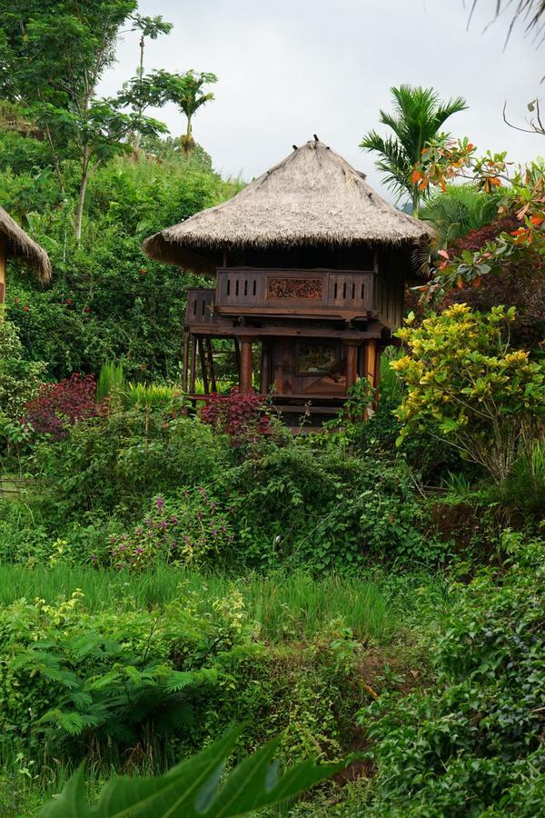 Rinjani Mountain Garden Ξενοδοχείο Bayan Εξωτερικό φωτογραφία