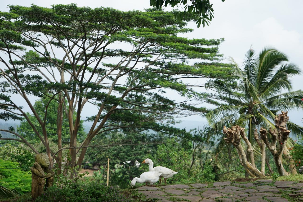 Rinjani Mountain Garden Ξενοδοχείο Bayan Εξωτερικό φωτογραφία