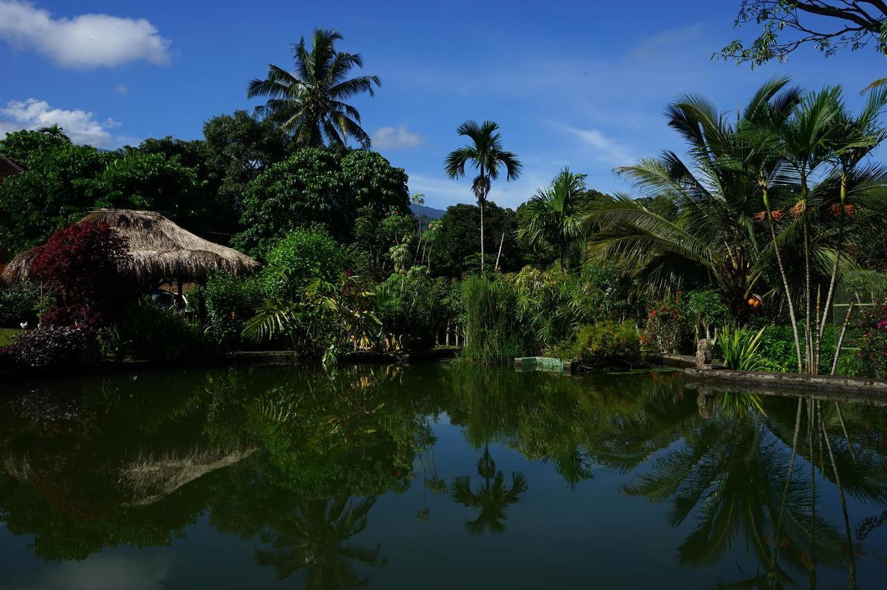Rinjani Mountain Garden Ξενοδοχείο Bayan Εξωτερικό φωτογραφία