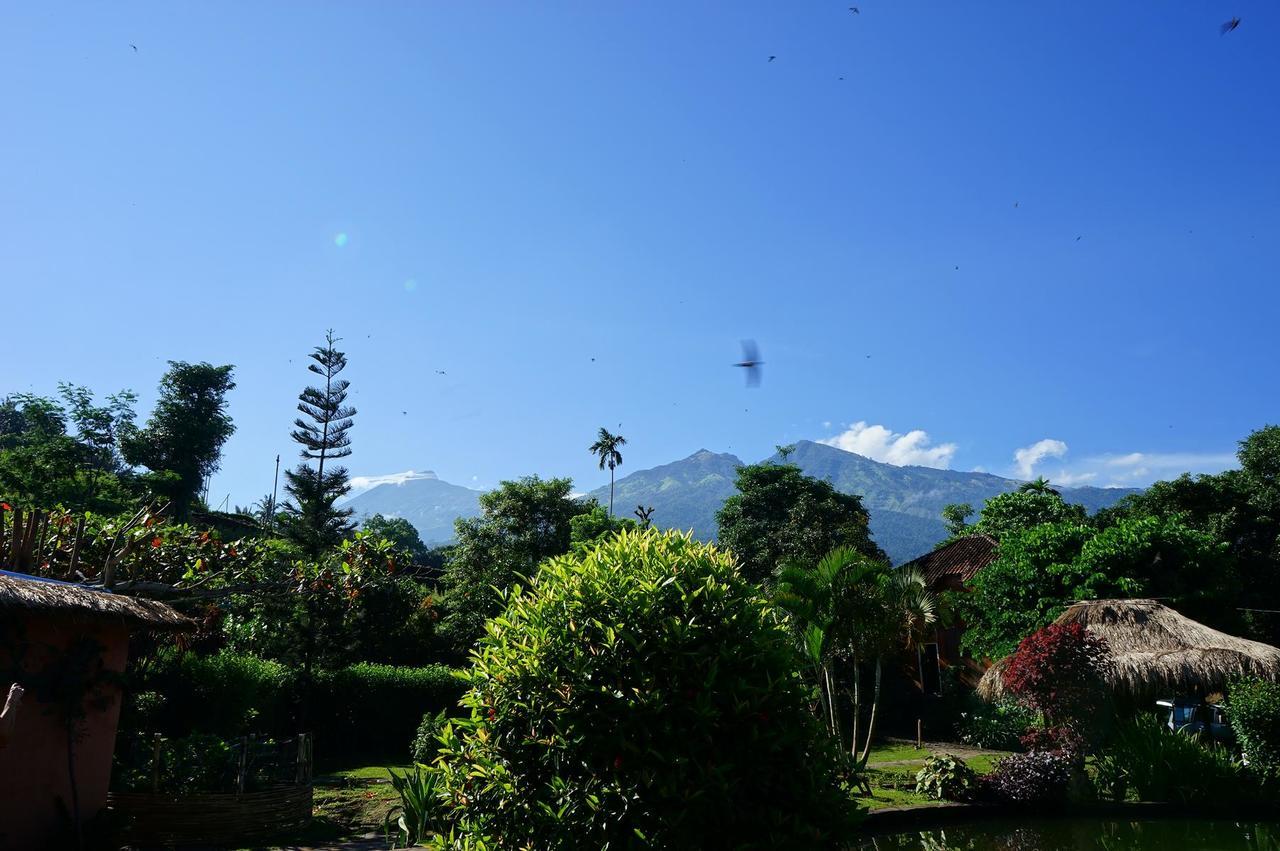 Rinjani Mountain Garden Ξενοδοχείο Bayan Εξωτερικό φωτογραφία