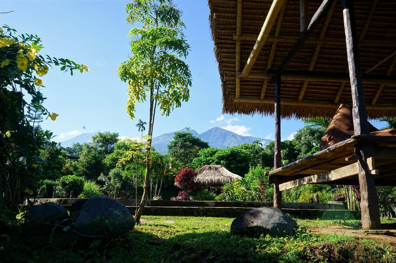 Rinjani Mountain Garden Ξενοδοχείο Bayan Εξωτερικό φωτογραφία