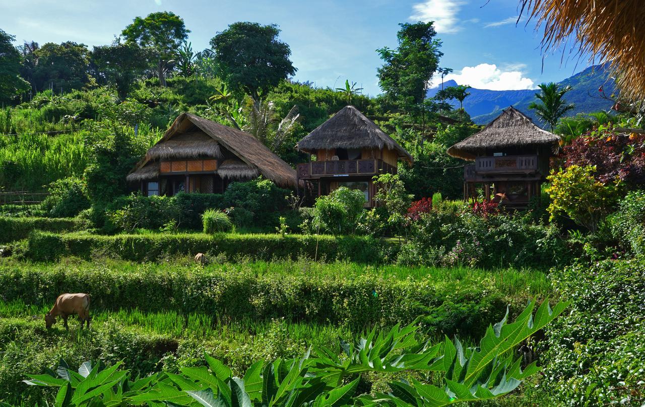 Rinjani Mountain Garden Ξενοδοχείο Bayan Εξωτερικό φωτογραφία